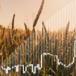 Comment investir dans le blé en ligne